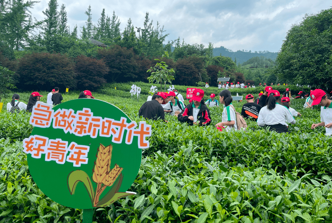 衢州8家!省中小学生研学实践教育基地名单(第三批)公布_文化_国防_活