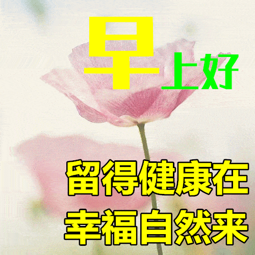 2月8日早上好祝福语图片大全,问候动态表情图片大全!