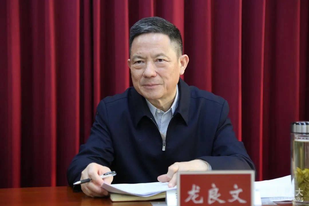 市人大常委会副主任龙良文调研大会议案办理工作_发展_新能源_智能