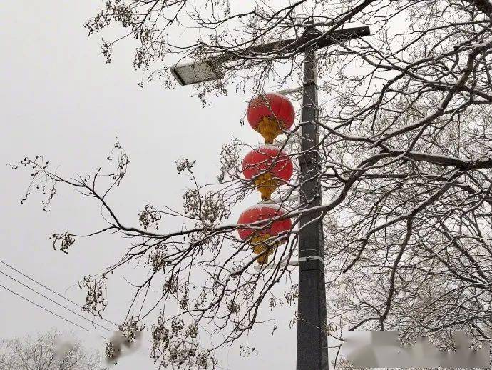 下雪了！北京发布道路结冰黄警，开车注意安全！