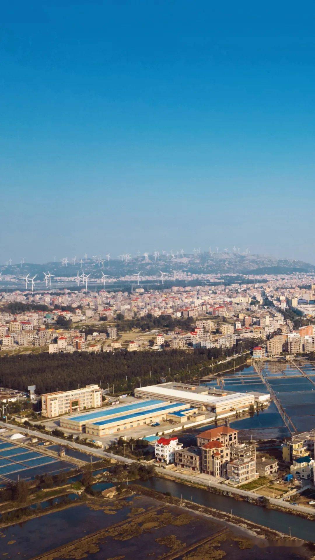 航拍莆田盐场,记录盐田的五彩斑斓!_东峤镇_文化_技艺