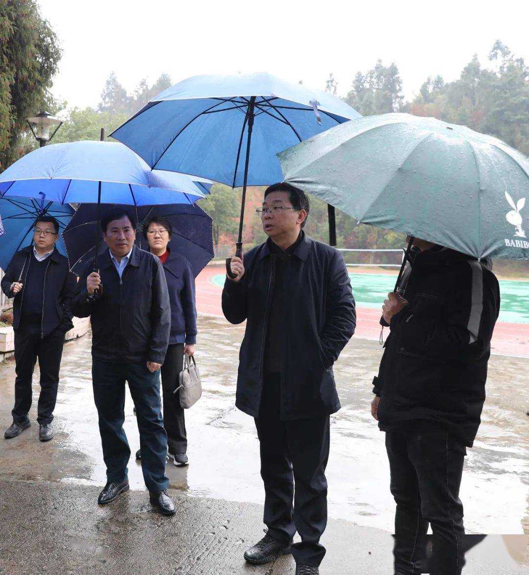 张成慧参加指导平湖镇领导班子民主生活会并开展"四下基层"调研_工作