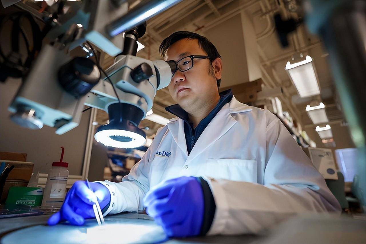 ucsd)作为徐升课题组的第一届博士生,他认为徐教授既是导师,也是科研