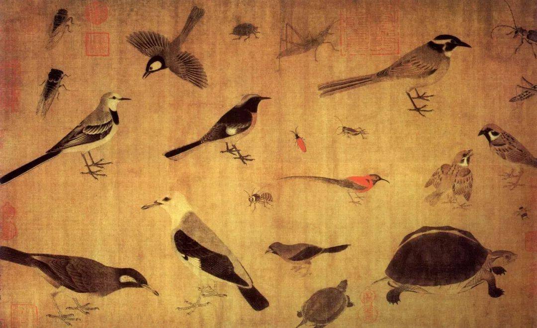 徐熙花鸟作品边景昭《双鹤图》林良《鹅泳图》徐渭《夏看绿荷池》分