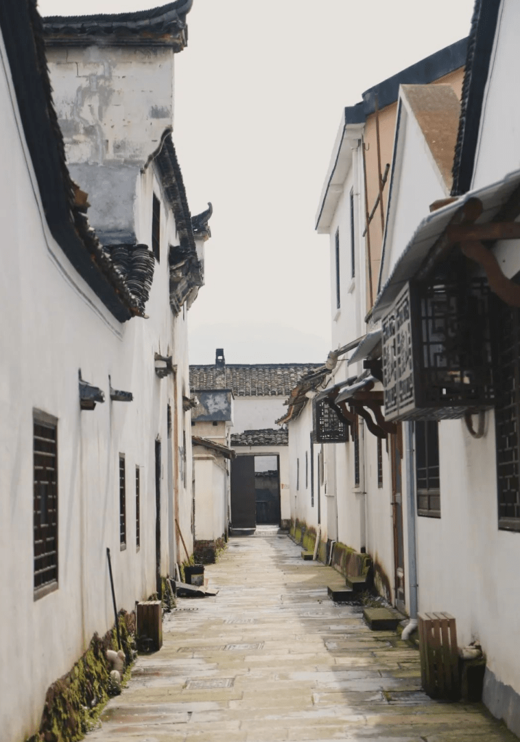 历史与现代交融的古村,这个春天,来龙游溪口感受一次畅快的旅行吧