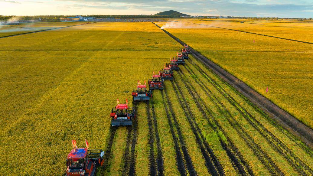 农业农村部:支持东北,黄淮海地区开展粮豆轮作_大豆_产能_种植