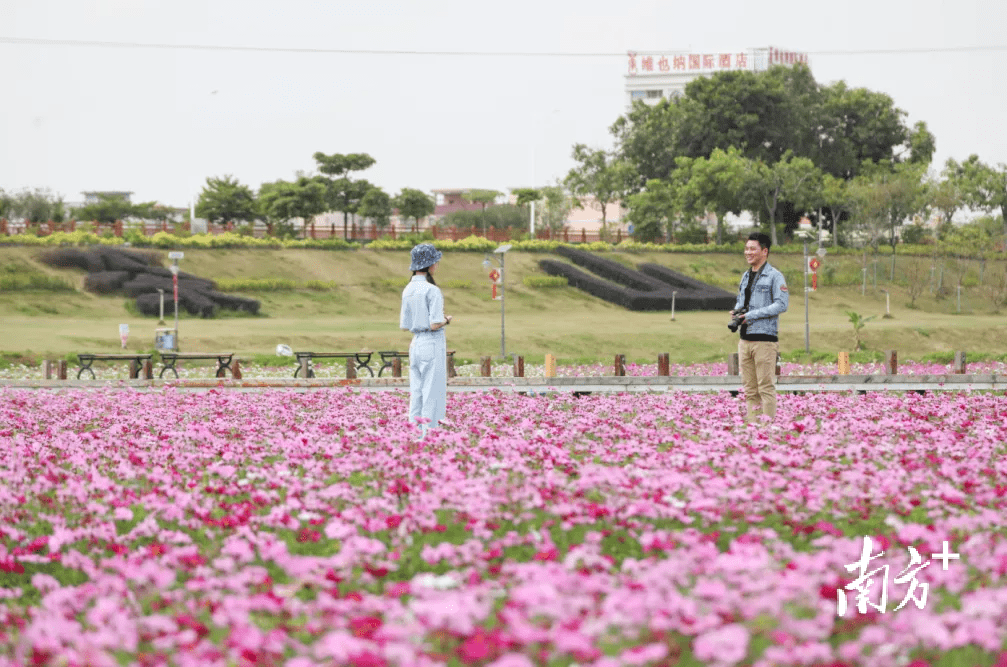 走，茶山看花海，相逢春日暖阳