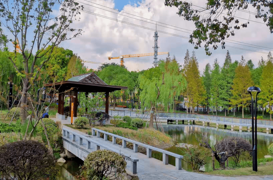 地址_杨行镇_友谊路街道