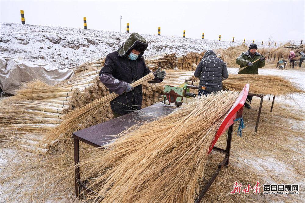 民乐县芨芨草扎出致富"金扫帚"_永固镇_东街村_甘肃