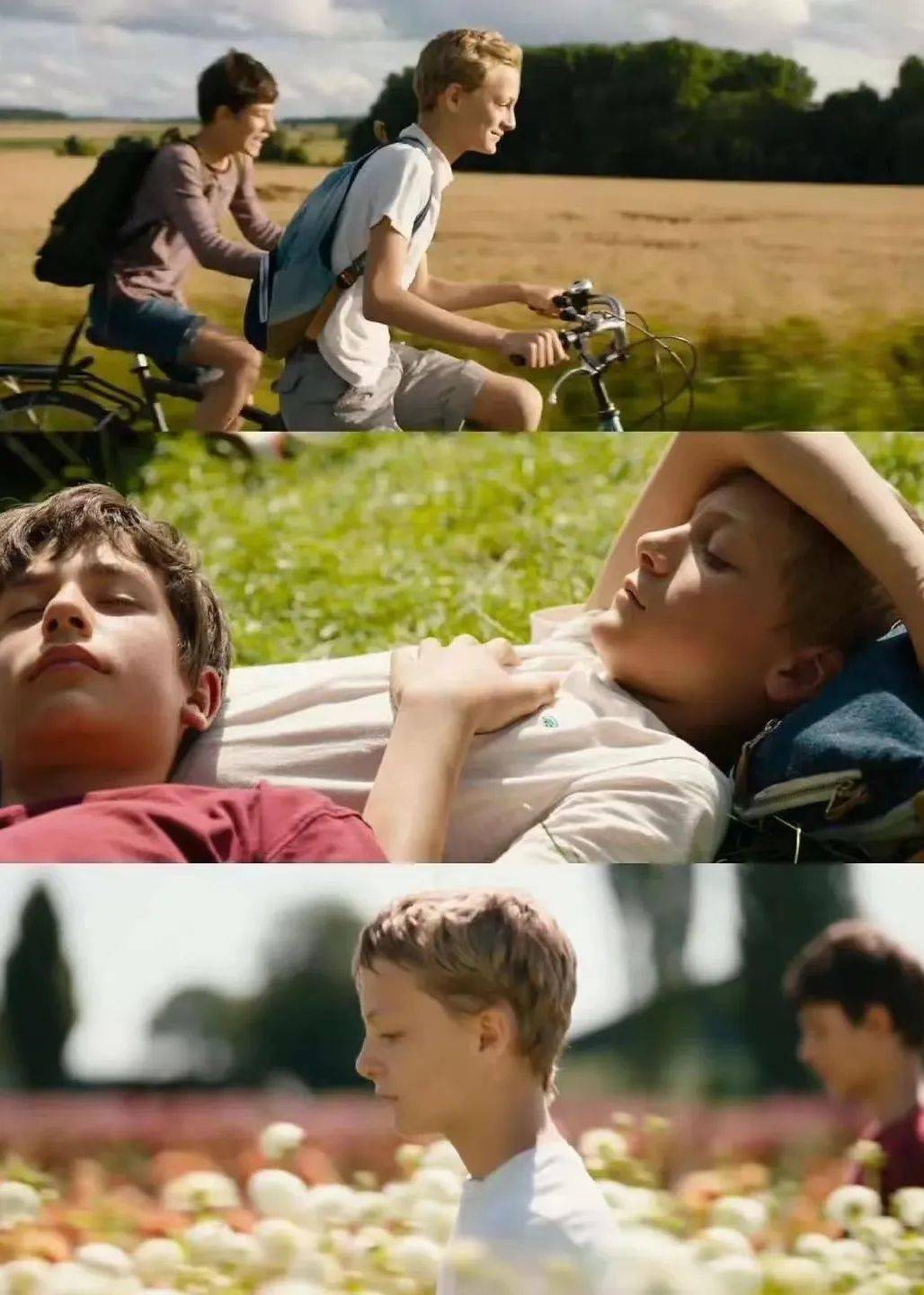 文艺批评·斜目而视 | 《亲密》(close)_卢卡斯·德霍特_男孩_leo