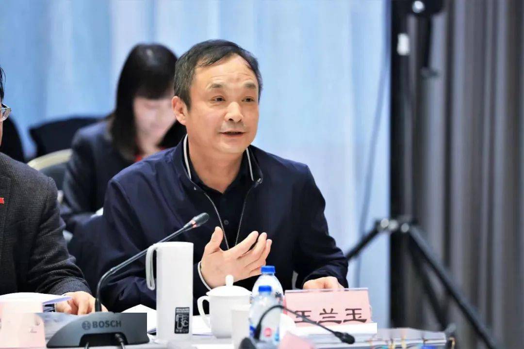 王兰玉:纵向,横向推进企业经营发展模式新变革(语音版)_河钢_结构性