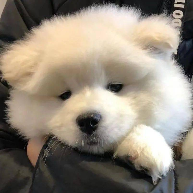 头像| 头像 676767这组好喜欢