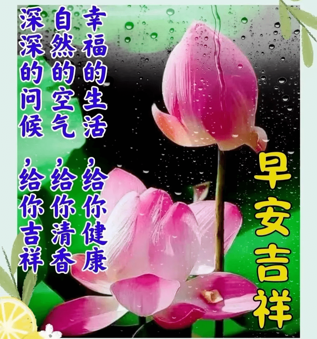 早上好圖片大全,祝福美好,早安吉祥!_晨風_舒爽_臉龐