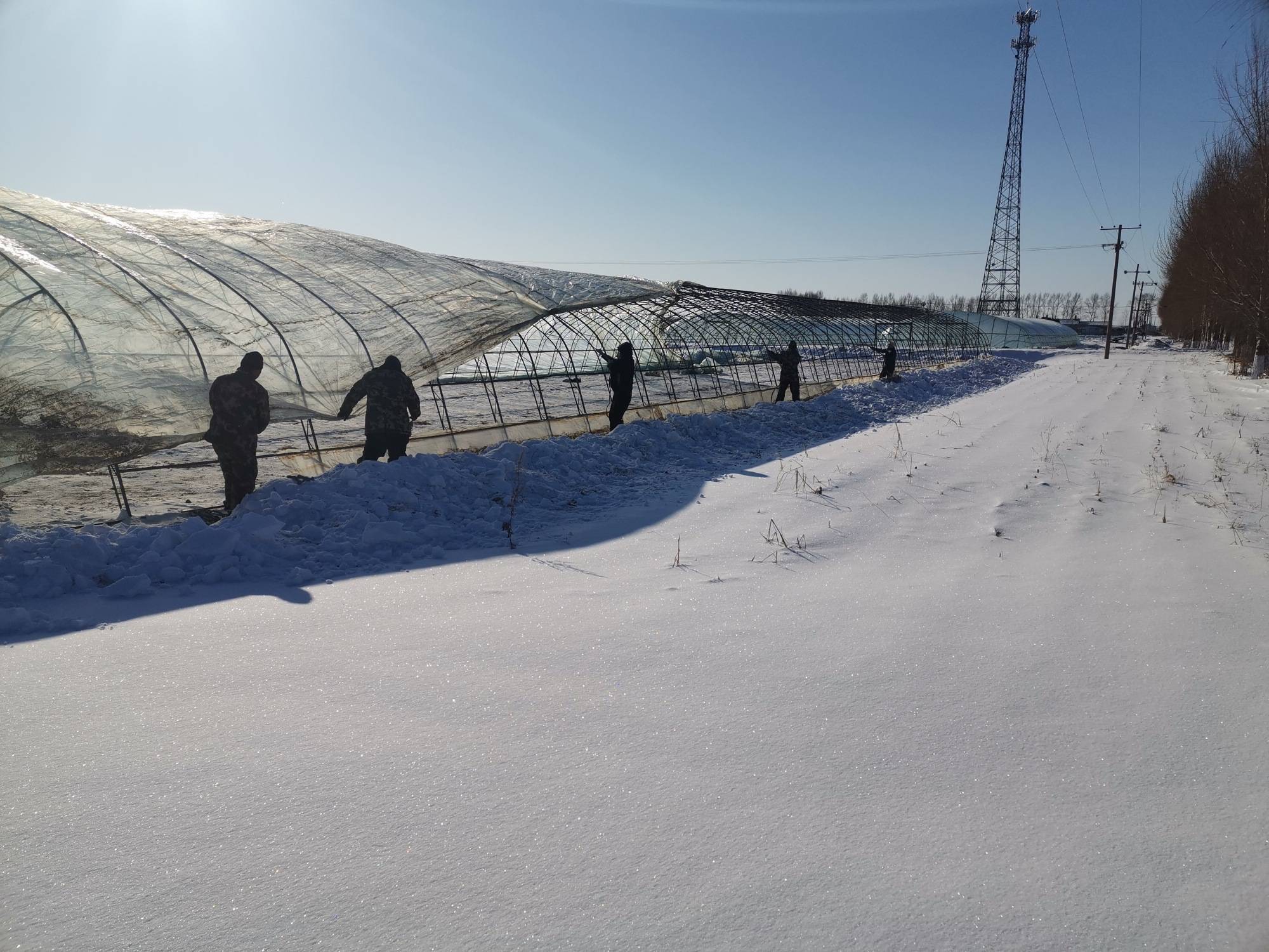 万象"耕"新春潮涌_区清雪_八五一一农场_垦丰