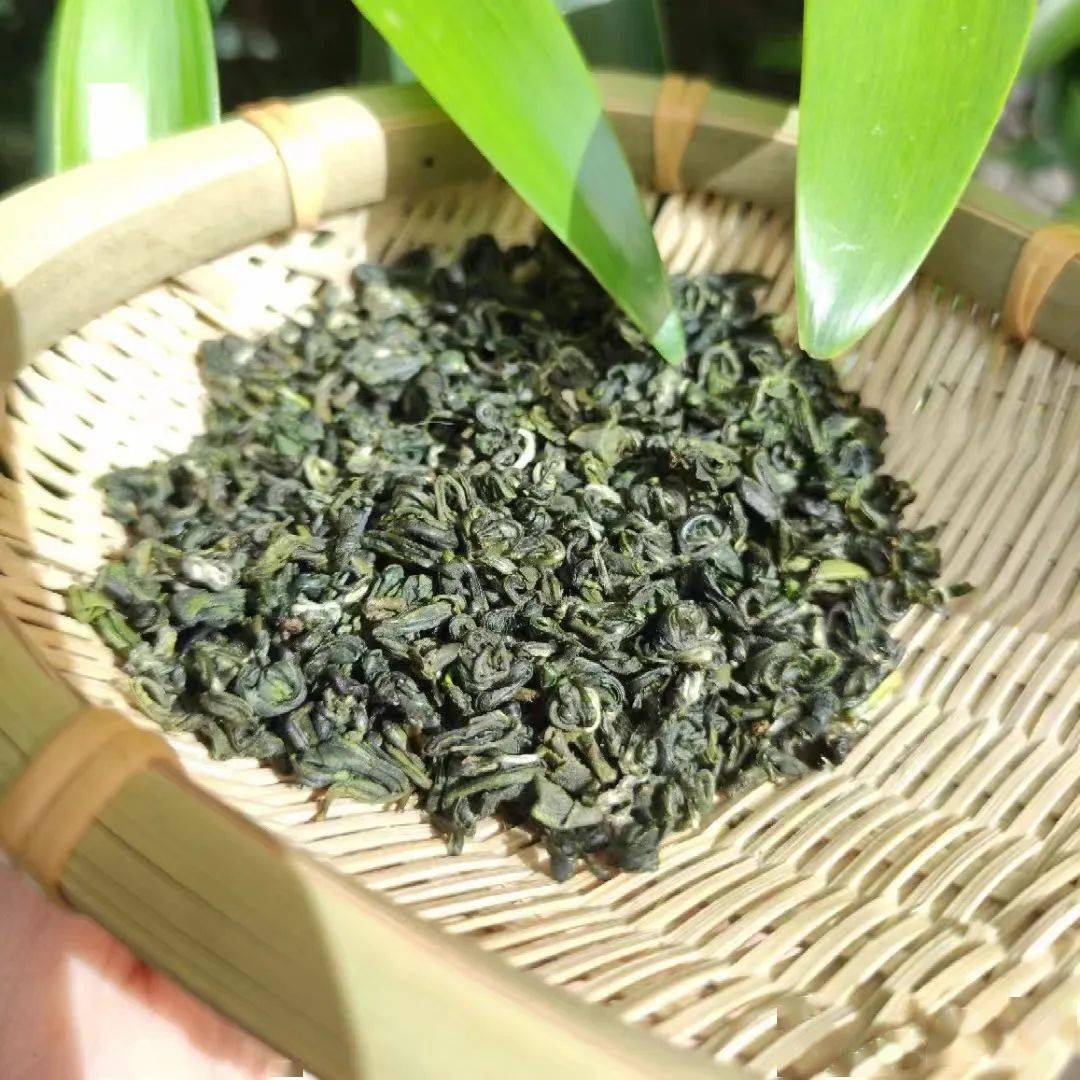 武平绿茶,千年不褪色的青绿,在杯中唤醒自由~_茶树_梁野_风物