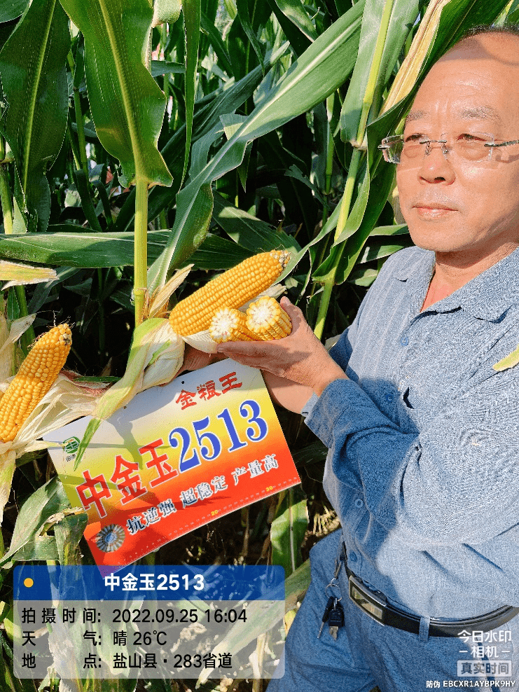 好玉米"中金玉2513豫南区域核心客户座谈会成功召开_优势_种业_品种