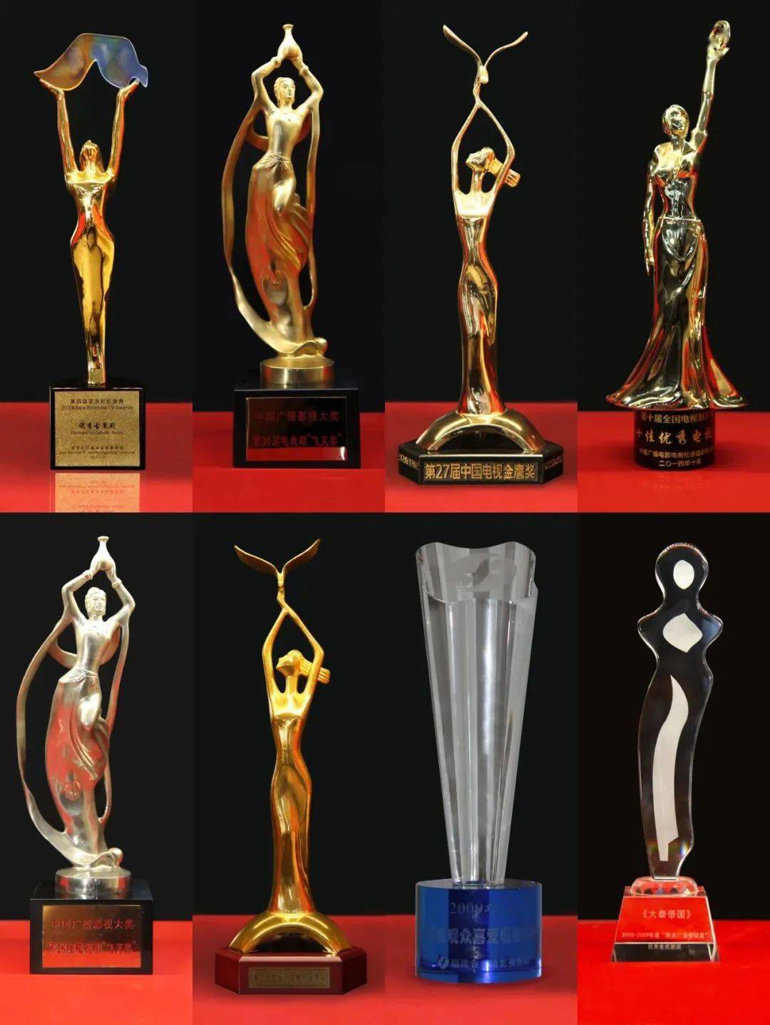 该系列剧先后获得飞天奖,金鹰奖等十五项电视剧领域权威大奖.