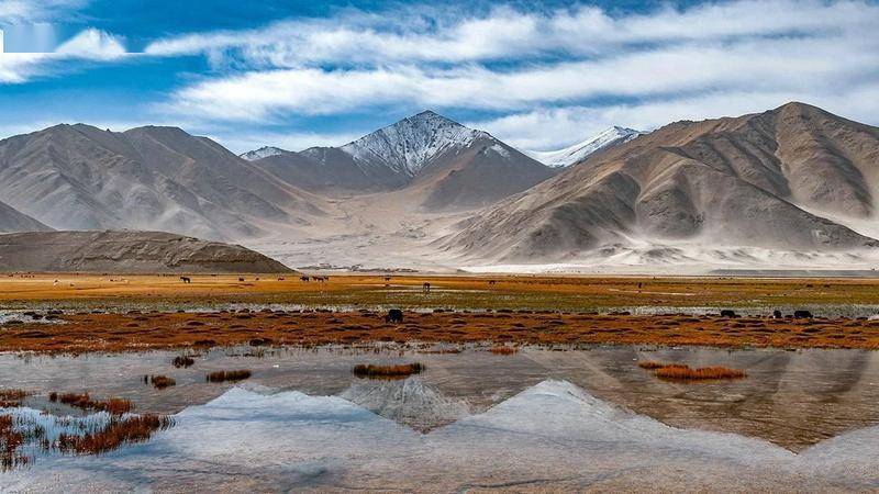 帕米尔高原 布伦口乡_阿克陶县_口村_海拔