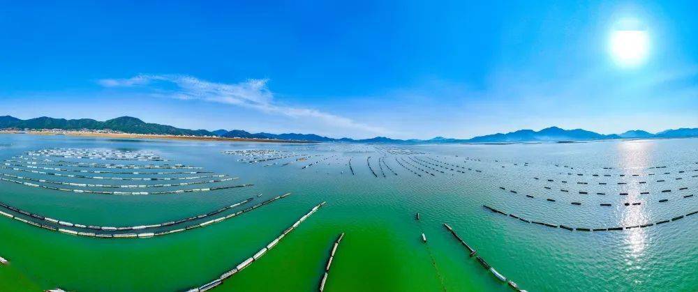 象山西沪港耕海牧渔"丰"景如画_滩涂_养殖户_海水
