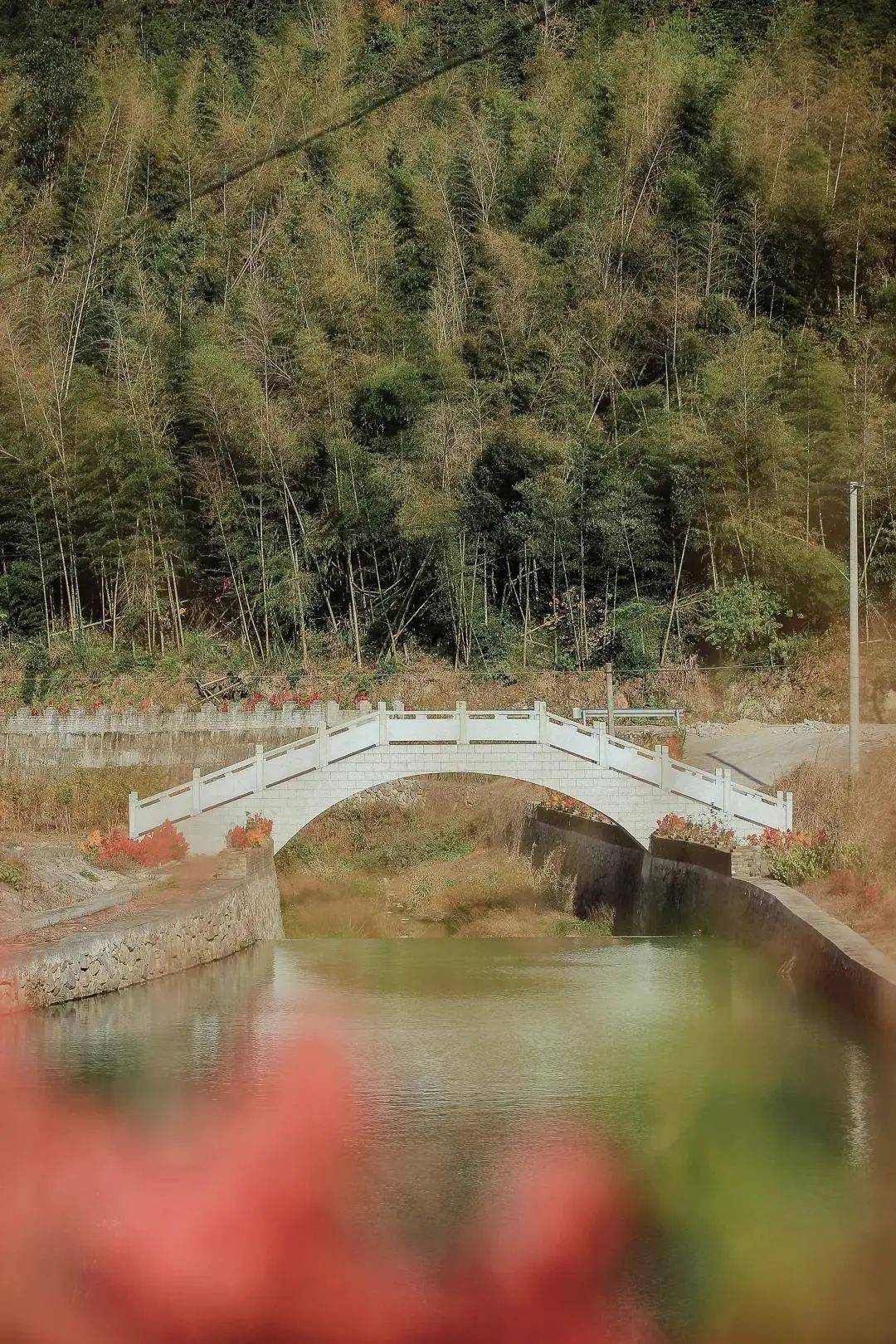 青春有约·「义」行古道越千年|尤溪镇首届义城古道定向赛活动招募