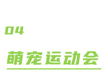 墙裂推荐（南昌非遗如何申请）南昌非物质文化遗产展示活动在哪举行 第11张