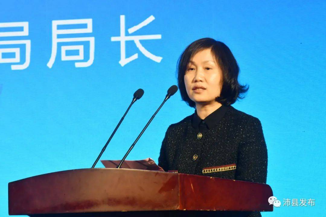 沛县"2 3"产业政银企对接会举行_金融监督_徐州市_发展