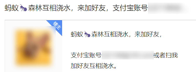 实服了，到底是谁还在付出宝里种树啊？