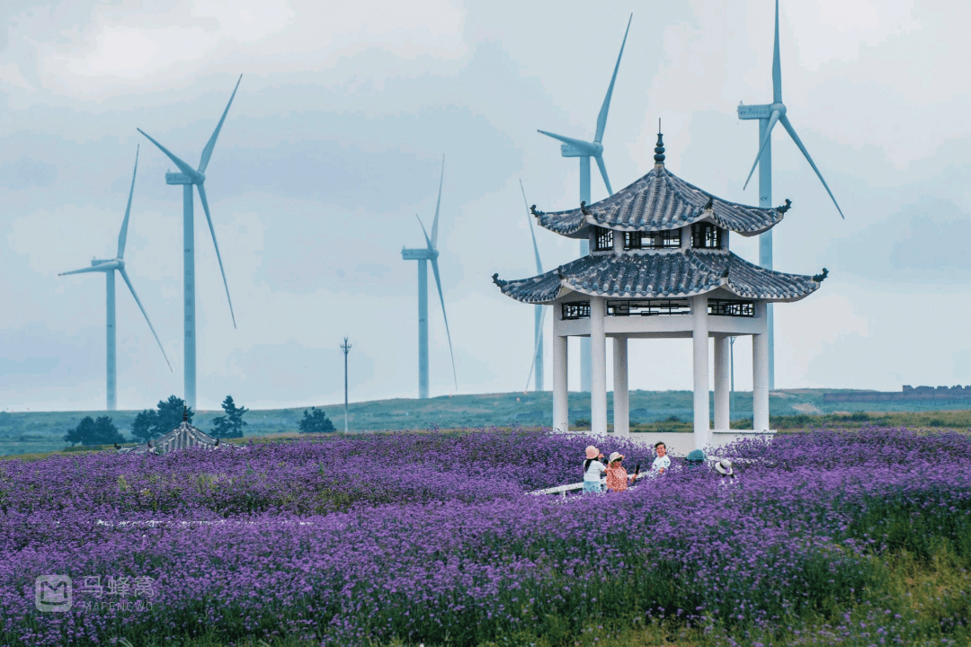 不行万亩樱花园，那座宝藏城市竟还有32个赏花地？