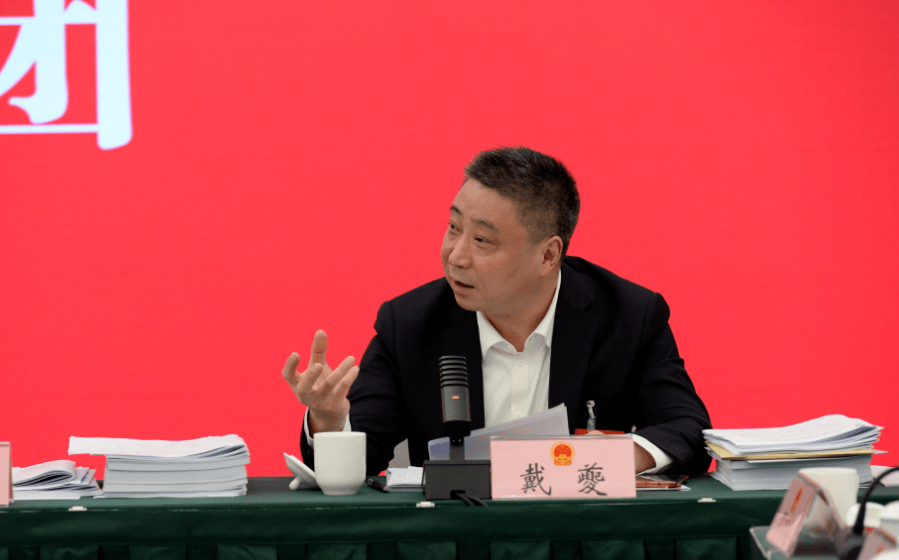 陈彦夫参加青羊代表团审议_工作_发展_报告