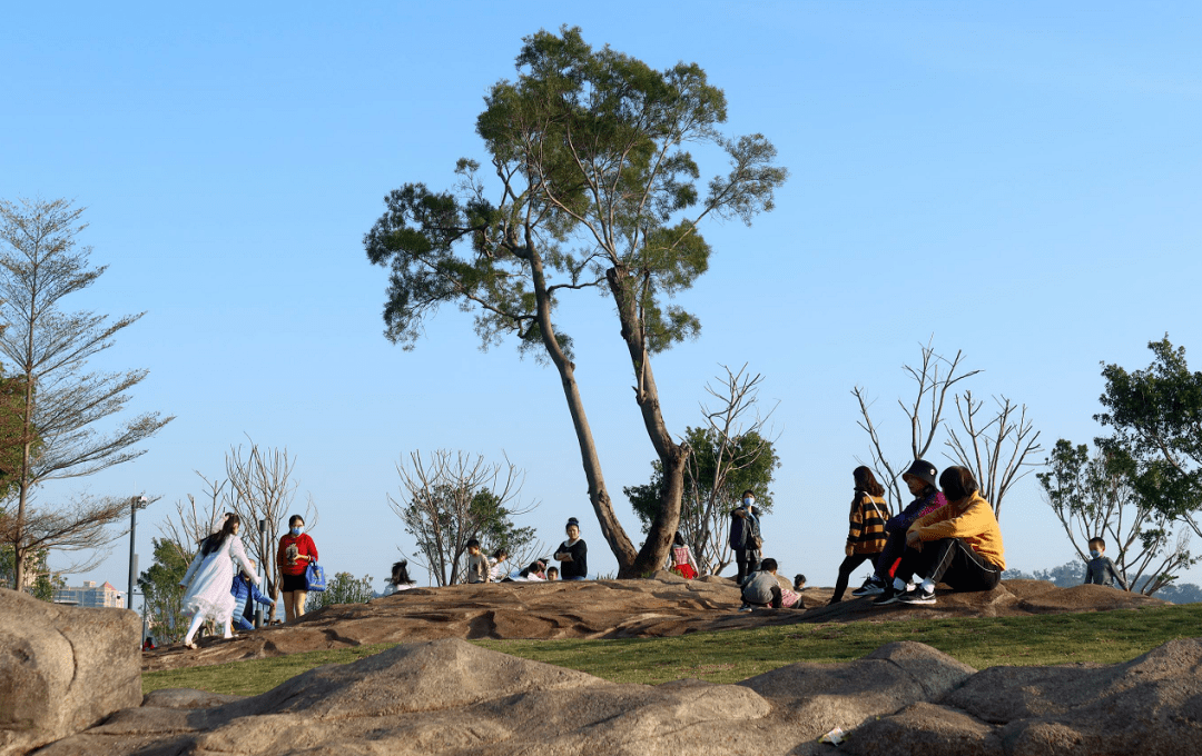 厦门一处山地公园焕新上线→_市民_石头皮山_陈理杰