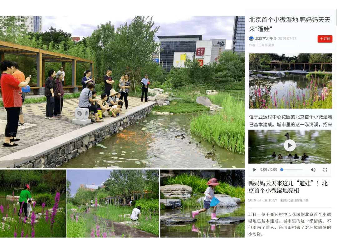 小湿地大生态——北京小微湿地庇护修复示范建立项目理论 | LA理事风度