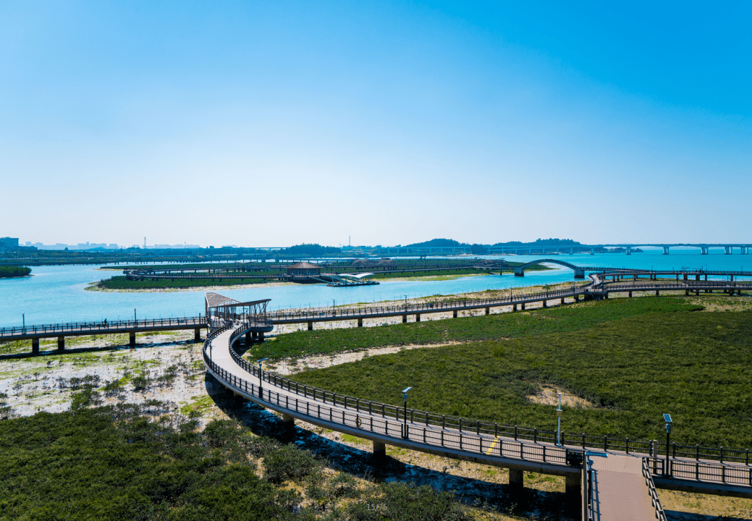 "五区"即湿地探索区,户外红树林科普区,生态观鸟区,红树林保护区,科研