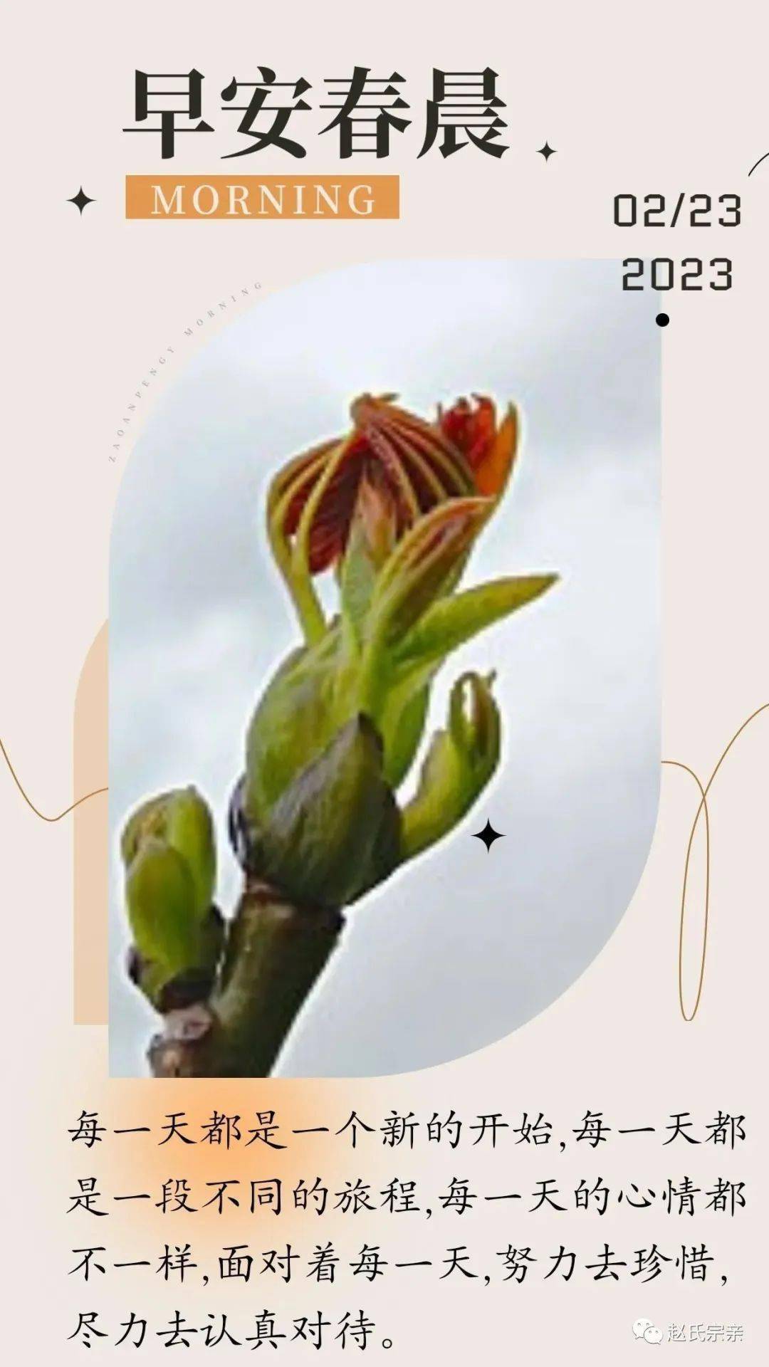 静阅书馆- 真正的爱，不是剥夺，而是放手，是把人生的权力交还给孩子容许孩子去犯错，让孩子在错误中找到一条成长之路, image size:1080x1920