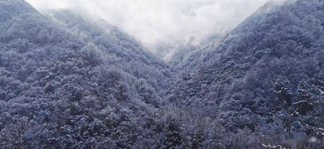 有一個地方的雪景但小編覺得早已銀裝素裹化龍山 南宮山說到賞雪去