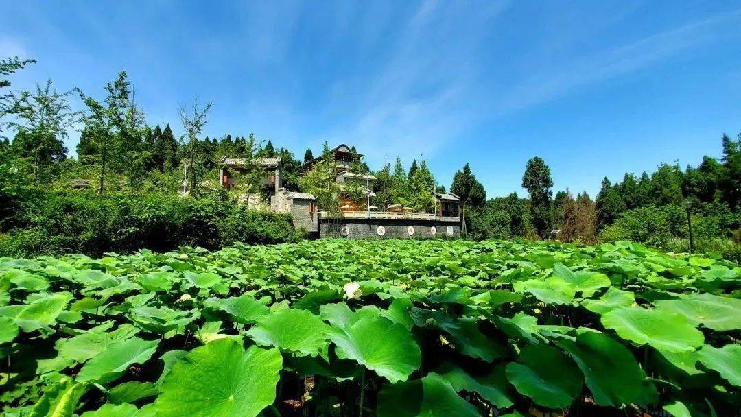 快来看资中22个镇的朋友圈都在晒什么?