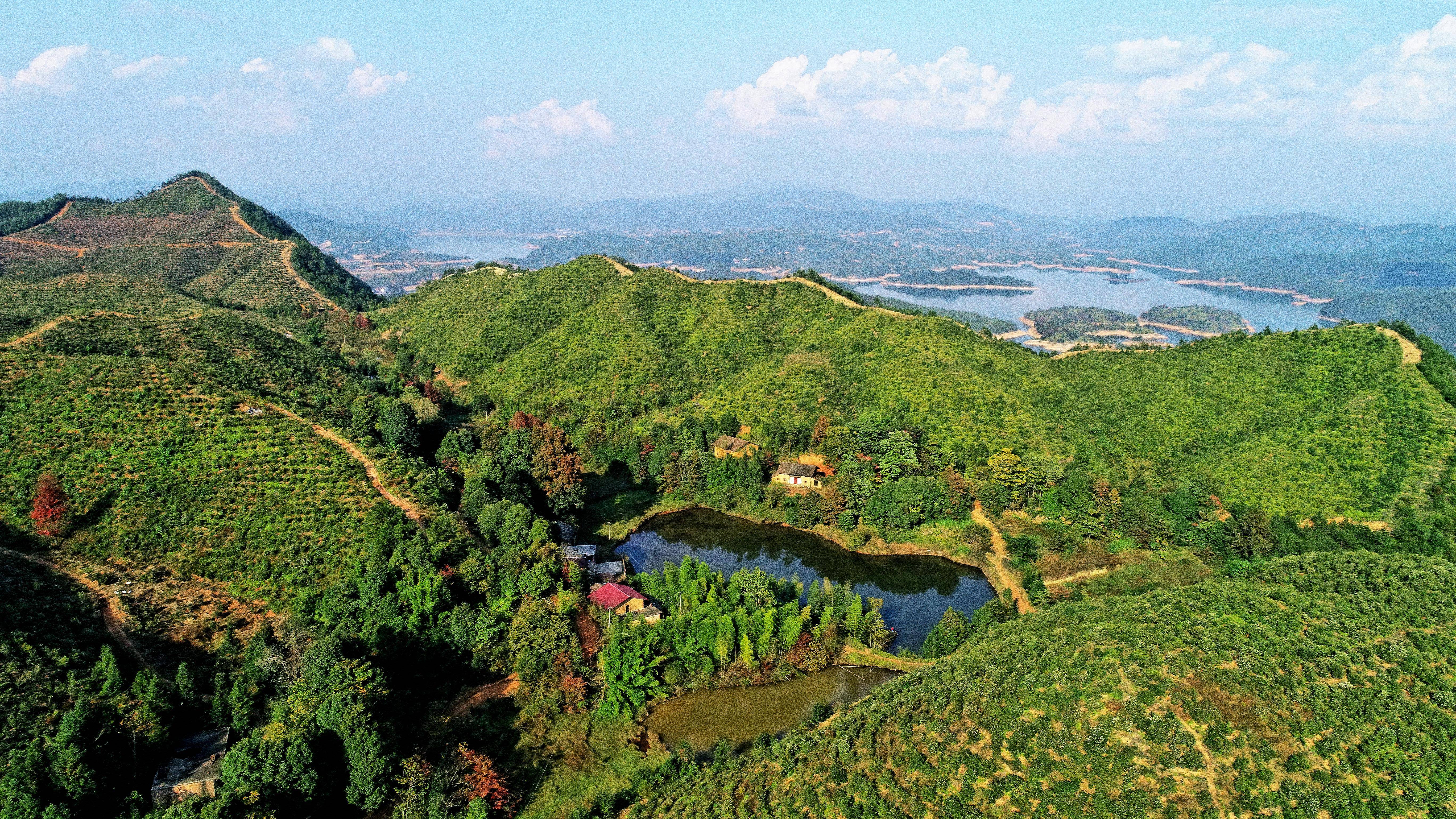 十年两会·温暖记忆·图文互动 讲不完的油茶树故