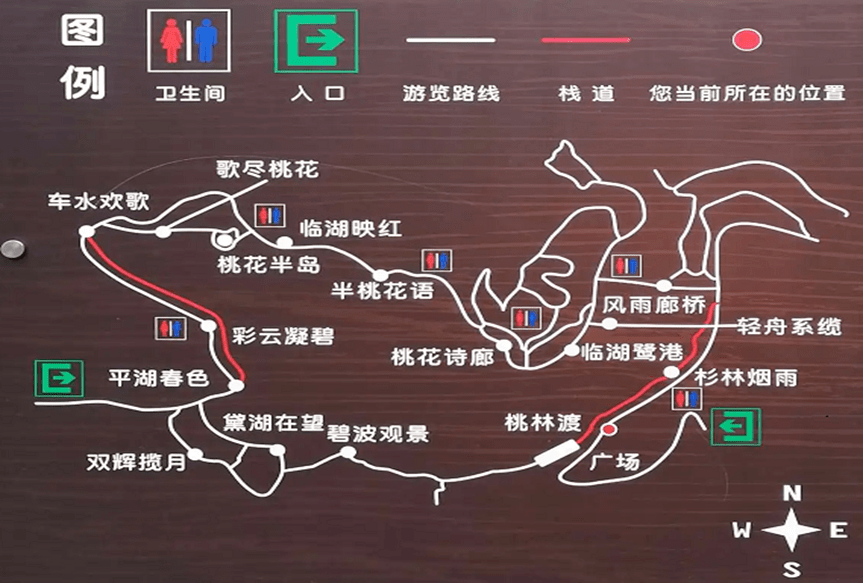 春游九龙①丨抽空去了趟彩云湖,看了一场花的绚烂~_公园_湿地_重庆