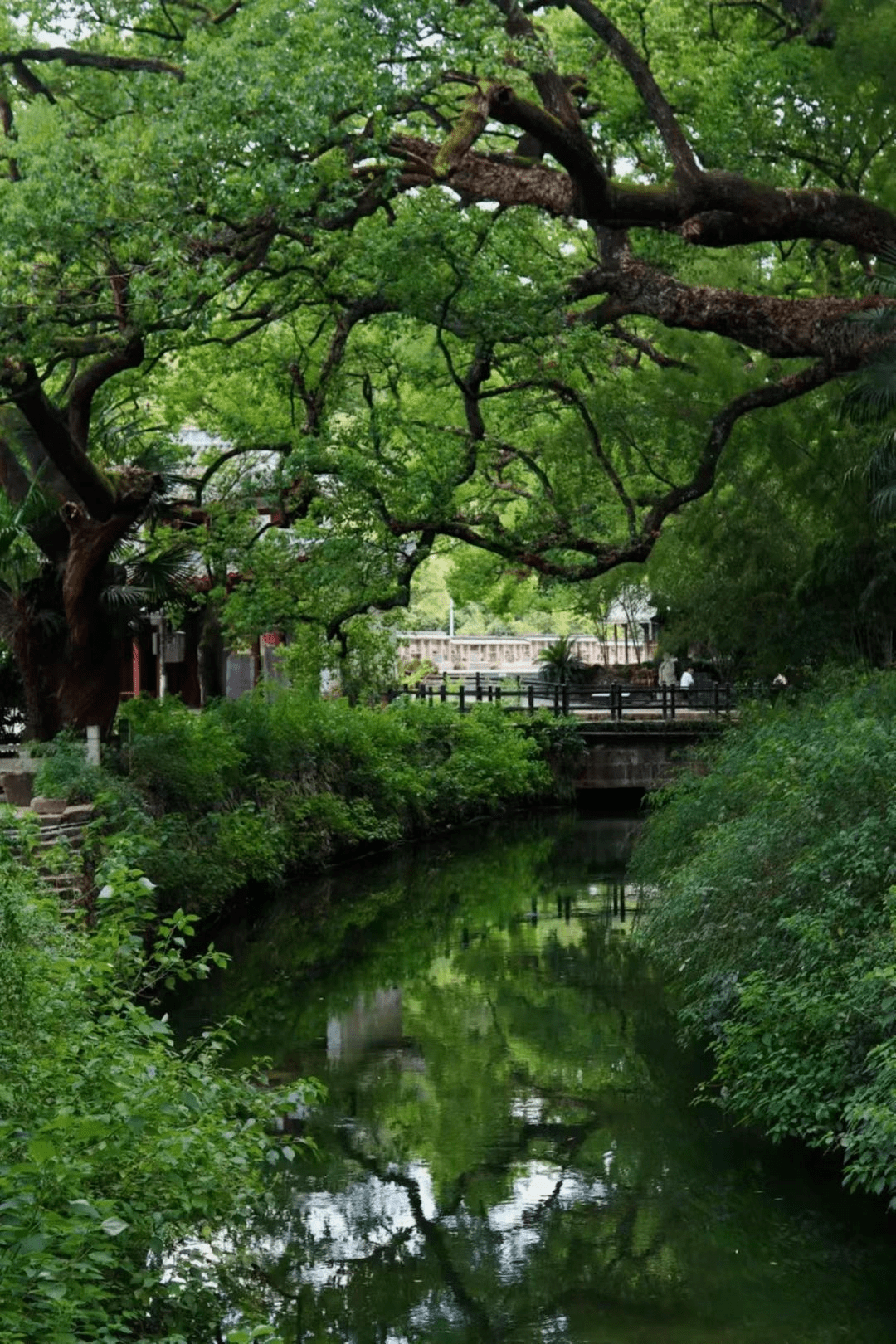 高铁仅10min！夹在江浙之间的宝藏秘境，山川不输桂林，家门口的度假天花板！