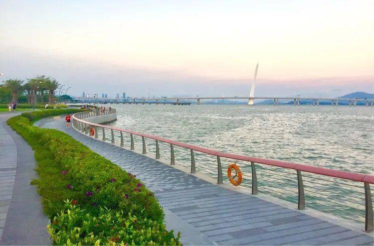 周末出发|2h车程,媲美维多利亚港,走走这个网红海滨绿道_深圳_活动