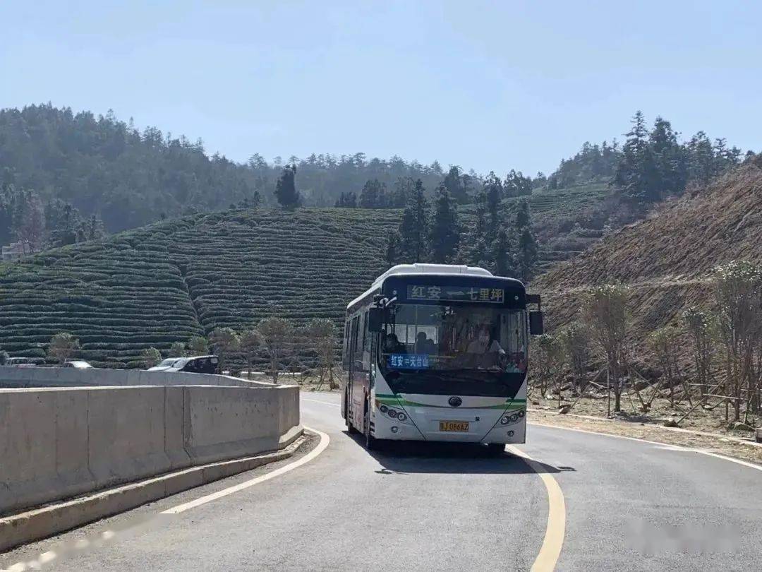 香气飘飘!_红安_天台山_樱花