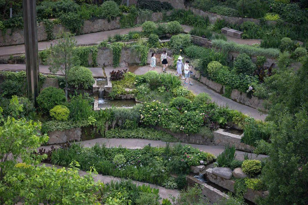 廢棄採石場變身植物花園 | 第11屆江蘇園博園未來花園_礦坑_旅遊_條件