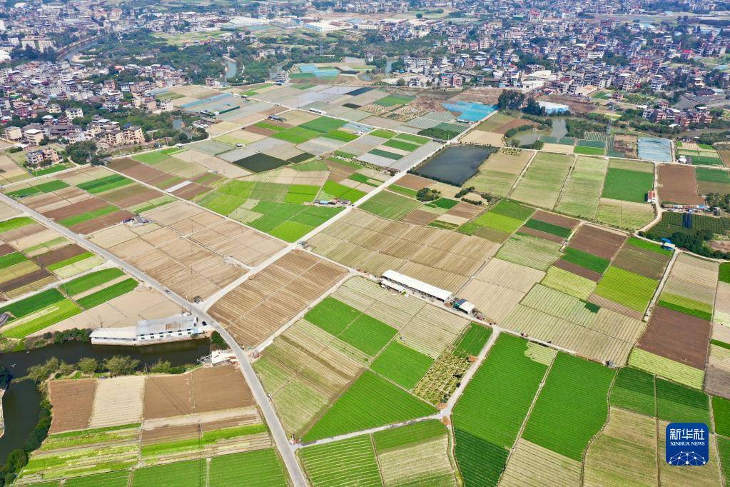 新華全媒 丨春耕大地上的畫卷_福州市_田地_永泰縣