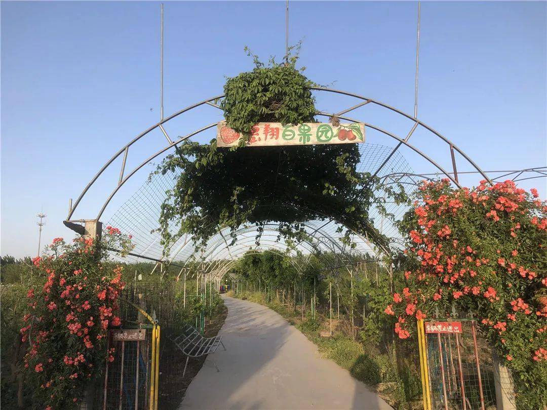 惠翔世纪庄园3.