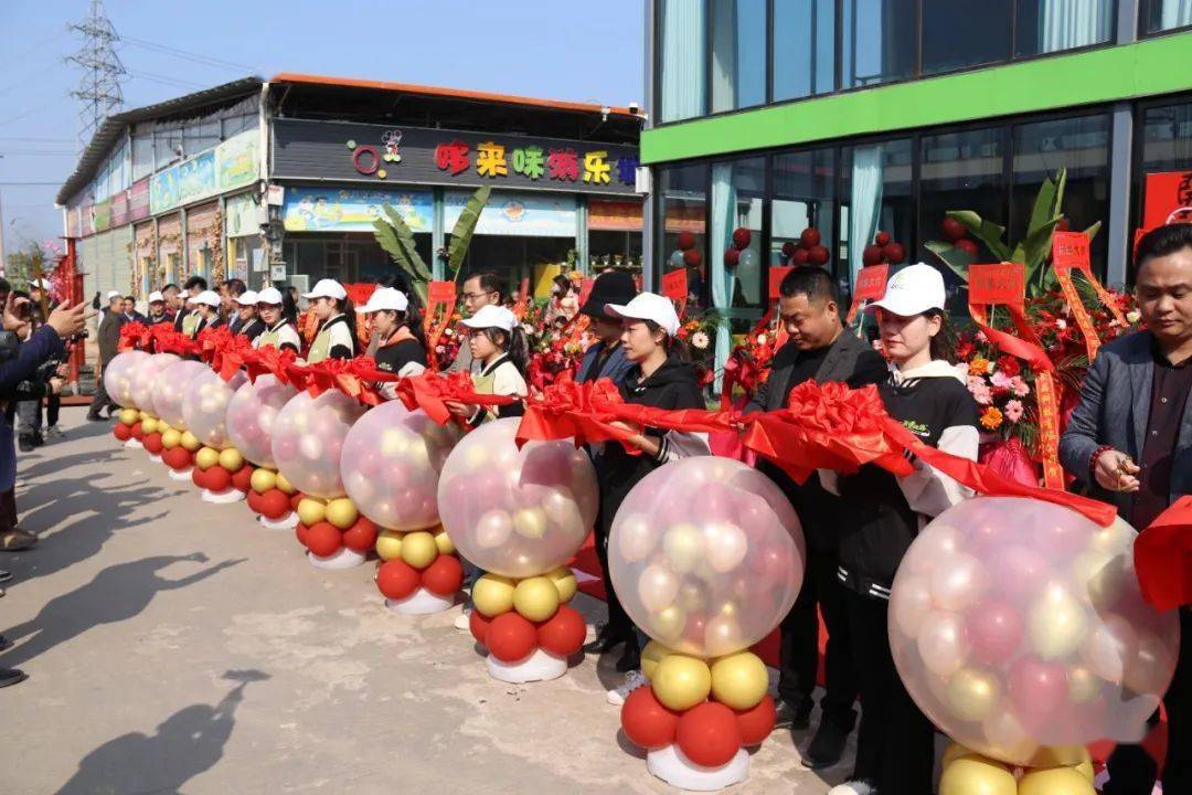 放飞气球点睛开业晚会现场太平网编辑相关连接: 茉茶风暴首家大型花园