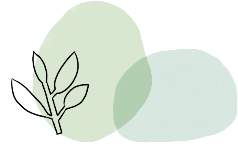 �������˱�����һĨ������ɫ