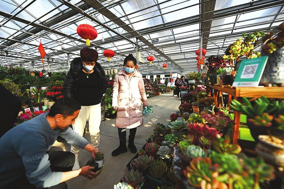 杨家峪花卉市场新址图片
