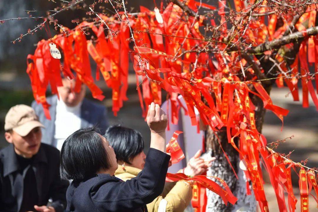 百年庙会 祈福纳祥_阜山_青田_文化