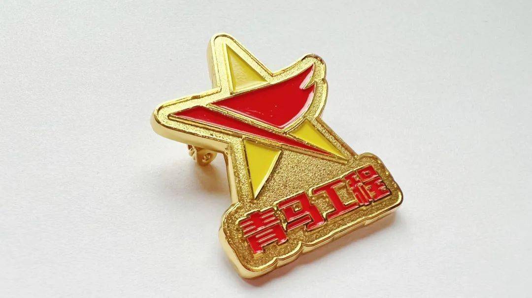 推动青马工程科学化,规范化实施,持续强化"青马工程"为党育人的政治