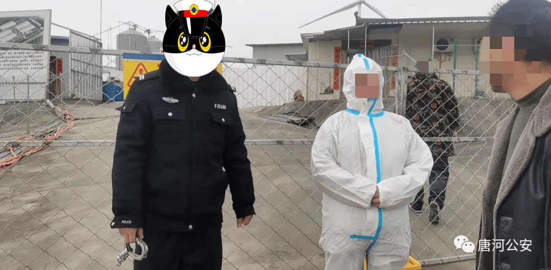 即可进入唐河在线公众号-回复"拼车"