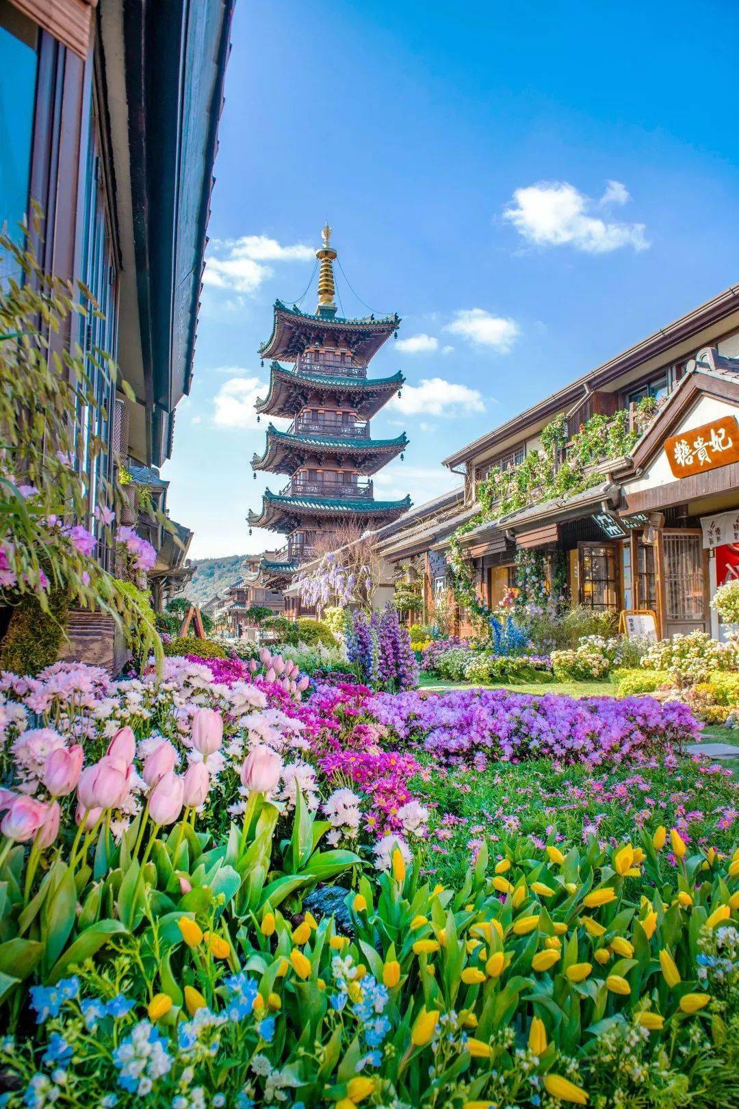 拈花湾花朝节3月5日开启,"为你花开满城!"_芬芳_繁花_庭院